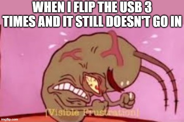 Visible Frustration | WHEN I FLIP THE USB 3 TIMES AND IT STILL DOESN'T GO IN | image tagged in visible frustration,i'm 15 so don't try it,who reads these | made w/ Imgflip meme maker