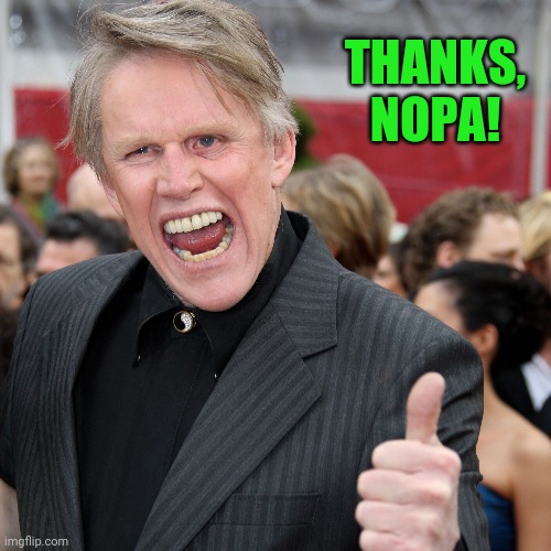 Gary Busey | THANKS, NOPA! | image tagged in gary busey | made w/ Imgflip meme maker
