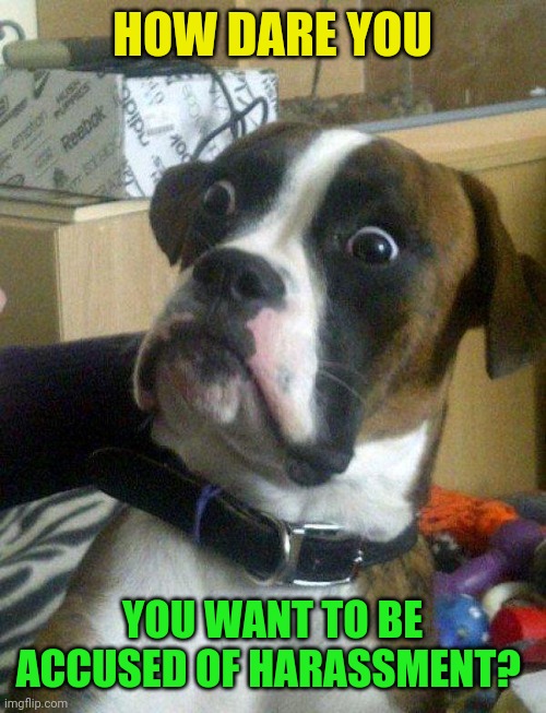 Blankie the Shocked Dog | HOW DARE YOU YOU WANT TO BE ACCUSED OF HARASSMENT? | image tagged in blankie the shocked dog | made w/ Imgflip meme maker