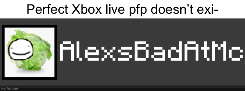 Yes | Perfect Xbox live pfp doesn’t exi- | image tagged in i,dont,know | made w/ Imgflip meme maker