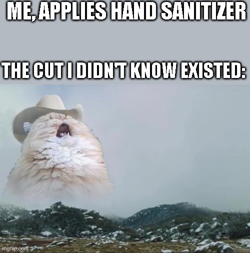 Screaming Cowboy Cat |  ME, APPLIES HAND SANITIZER; THE CUT I DIDN'T KNOW EXISTED: | image tagged in screaming cowboy cat | made w/ Imgflip meme maker