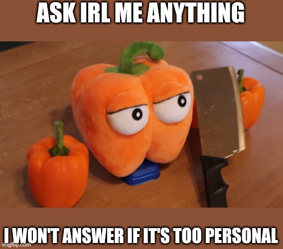 ASK IRL ME ANYTHING; I WON'T ANSWER IF IT'S TOO PERSONAL | image tagged in ask | made w/ Imgflip meme maker