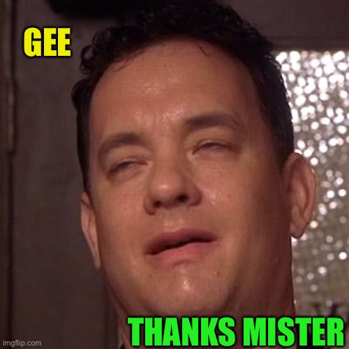 Tom Hanks Orgasm | GEE THANKS MISTER | image tagged in tom hanks orgasm | made w/ Imgflip meme maker