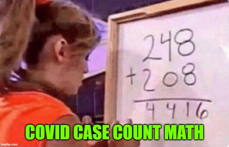 All of the CDC numbers are phony. ALL OF THEM. | COVID CASE COUNT MATH | image tagged in 248  208,covid-19 | made w/ Imgflip meme maker