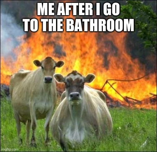 i crack myself up | ME AFTER I GO TO THE BATHROOM | image tagged in memes,evil cows | made w/ Imgflip meme maker