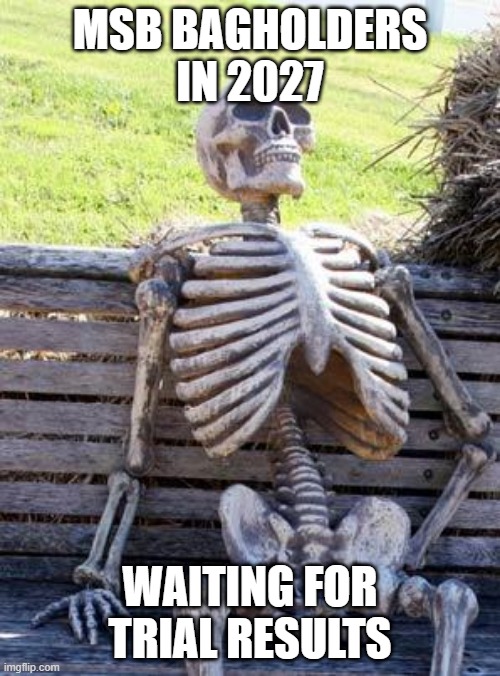 Waiting Skeleton Meme | MSB BAGHOLDERS IN 2027; WAITING FOR TRIAL RESULTS | image tagged in memes,waiting skeleton | made w/ Imgflip meme maker