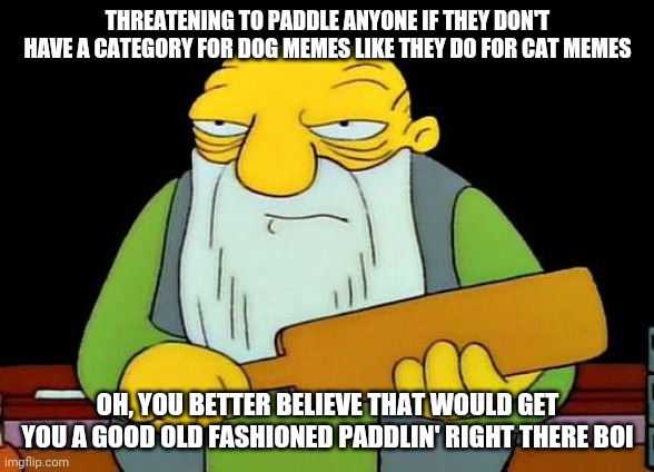 That's a paddlin' Meme | THREATENING TO PADDLE ANYONE IF THEY DON'T HAVE A CATEGORY FOR DOG MEMES LIKE THEY DO FOR CAT MEMES OH, YOU BETTER BELIEVE THAT WOULD GET YO | image tagged in memes,that's a paddlin' | made w/ Imgflip meme maker