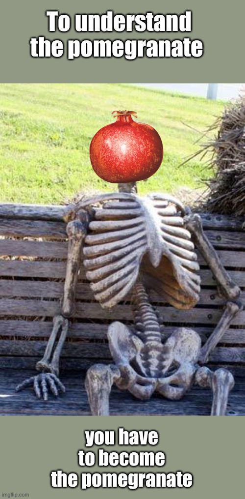 Waiting Skeleton Meme | To understand the pomegranate you have to become the pomegranate | image tagged in memes,waiting skeleton | made w/ Imgflip meme maker