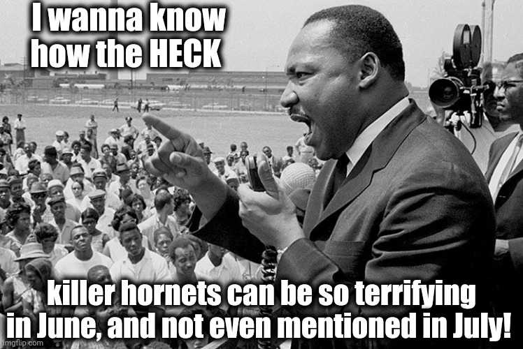 Crazy, huh? | I wanna know how the HECK; killer hornets can be so terrifying in June, and not even mentioned in July! | image tagged in mlk | made w/ Imgflip meme maker