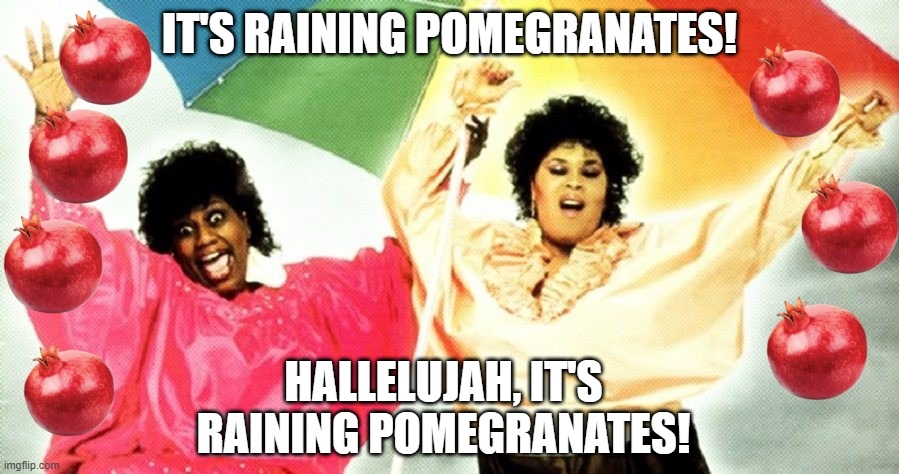 The Weather Girls Return | IT'S RAINING POMEGRANATES! HALLELUJAH, IT'S RAINING POMEGRANATES! | image tagged in funny song,pomegranates | made w/ Imgflip meme maker