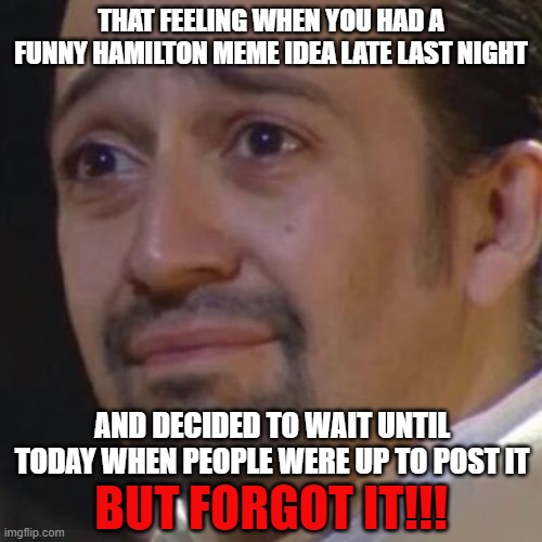 not a repost this happened to me lol | THAT FEELING WHEN YOU HAD A FUNNY HAMILTON MEME IDEA LATE LAST NIGHT; AND DECIDED TO WAIT UNTIL TODAY WHEN PEOPLE WERE UP TO POST IT; BUT FORGOT IT!!! | image tagged in sad hamilton,memes,funny,sad | made w/ Imgflip meme maker