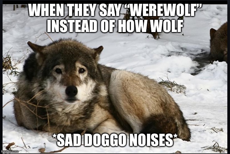 #careaboutthedoggos | WHEN THEY SAY “WEREWOLF” INSTEAD OF HOW WOLF; *SAD DOGGO NOISES* | image tagged in sad | made w/ Imgflip meme maker