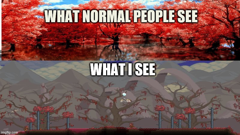 what normal people see | WHAT NORMAL PEOPLE SEE; WHAT I SEE | image tagged in terraria | made w/ Imgflip meme maker