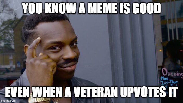 Roll Safe Think About It | YOU KNOW A MEME IS GOOD; EVEN WHEN A VETERAN UPVOTES IT | image tagged in memes,roll safe think about it | made w/ Imgflip meme maker