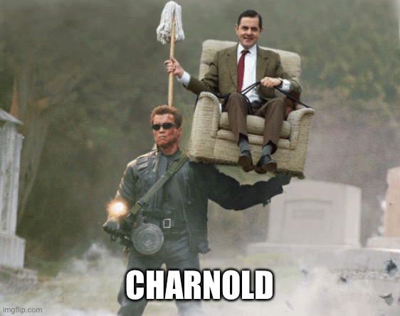 Arnold Schwarzenegger Mr. Bean | CHARNOLD | image tagged in arnold schwarzenegger mr bean | made w/ Imgflip meme maker