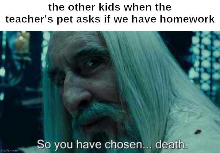 homework is sad | the other kids when the teacher's pet asks if we have homework | image tagged in so you have chosen death | made w/ Imgflip meme maker