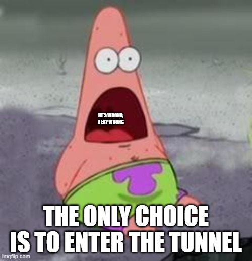 Suprised Patrick | HE'S WRONG, VERY WRONG THE ONLY CHOICE IS TO ENTER THE TUNNEL | image tagged in suprised patrick | made w/ Imgflip meme maker