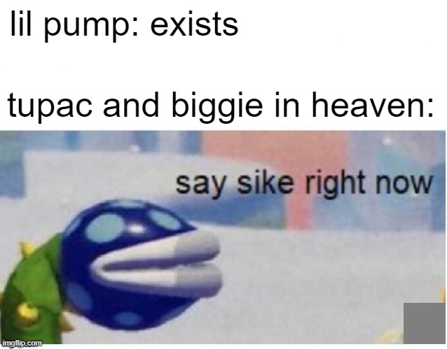 Tupac on mumble rap | lil pump: exists; tupac and biggie in heaven: | image tagged in say sike right now,tupac,lil pump,funny,memes | made w/ Imgflip meme maker
