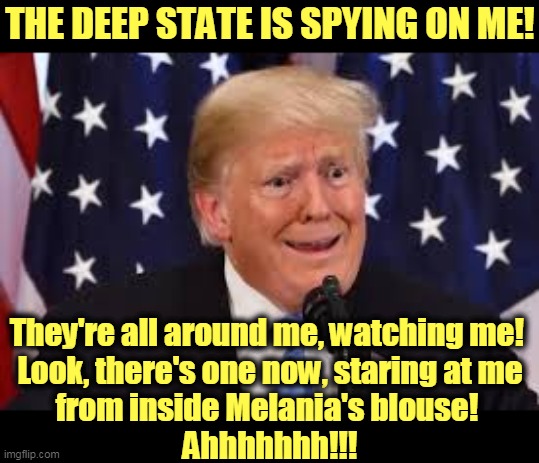 Yeah, Biden's better than this. | THE DEEP STATE IS SPYING ON ME! They're all around me, watching me! 
Look, there's one now, staring at me
from inside Melania's blouse! 
Ahhhhhhh!!! | image tagged in trump,crazy,insane,delusional,psychopath | made w/ Imgflip meme maker