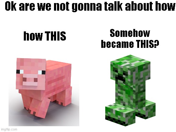 ok how the hell did a pig became a creeper | Ok are we not gonna talk about how; Somehow became THIS? how THIS | image tagged in blank white template,creeper,pig | made w/ Imgflip meme maker