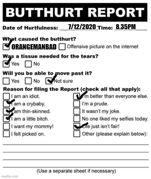 I FOUND A COPY OF THE LATEST REPORT AGAINST ME. | 7/12/2020                 8.35PM; ORANGEMANBAD | image tagged in butthurt report,orange man bad | made w/ Imgflip meme maker