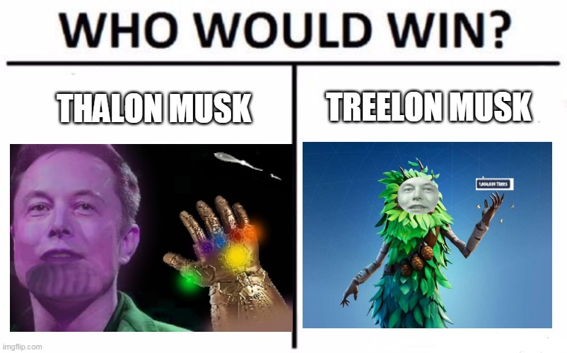 Who would win?!?!?! | THALON MUSK; TREELON MUSK | image tagged in memes,who would win | made w/ Imgflip meme maker