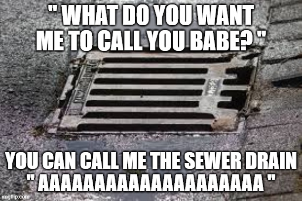 Sewer Drain | " WHAT DO YOU WANT ME TO CALL YOU BABE? "; YOU CAN CALL ME THE SEWER DRAIN
" AAAAAAAAAAAAAAAAAAAA " | image tagged in funny | made w/ Imgflip meme maker