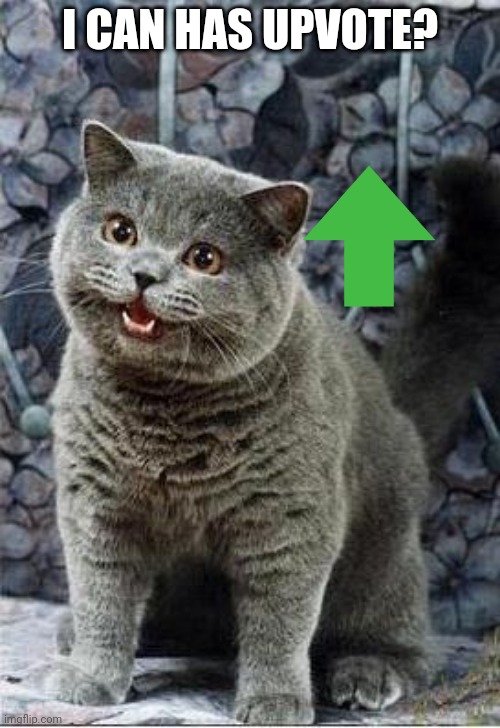 I can has cheezburger cat | I CAN HAS UPVOTE? | image tagged in i can has cheezburger cat | made w/ Imgflip meme maker