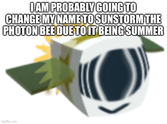 Haha name change go brrr | I AM PROBABLY GOING TO CHANGE MY NAME TO SUNSTORM THE PHOTON BEE DUE TO IT BEING SUMMER | made w/ Imgflip meme maker