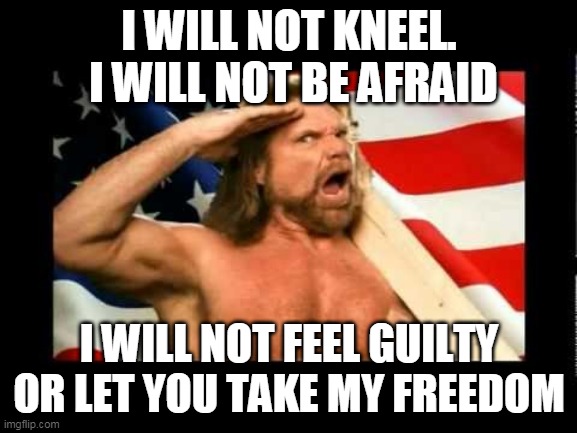 freedom | I WILL NOT KNEEL.  I WILL NOT BE AFRAID; I WILL NOT FEEL GUILTY OR LET YOU TAKE MY FREEDOM | image tagged in freedom,america,fight back,trump | made w/ Imgflip meme maker