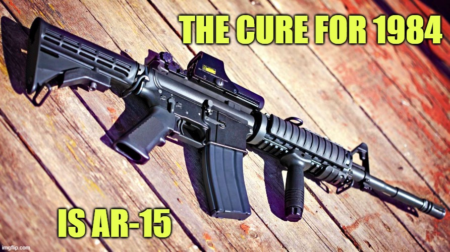 THE CURE FOR 1984 IS AR-15 | made w/ Imgflip meme maker