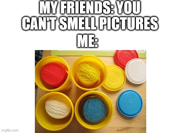 MY FRIENDS: YOU CAN'T SMELL PICTURES; ME: | image tagged in things of your childhood | made w/ Imgflip meme maker
