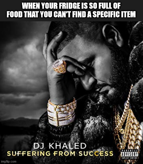 dj khaled suffering from success meme | WHEN YOUR FRIDGE IS SO FULL OF FOOD THAT YOU CAN'T FIND A SPECIFIC ITEM | image tagged in dj khaled suffering from success meme | made w/ Imgflip meme maker