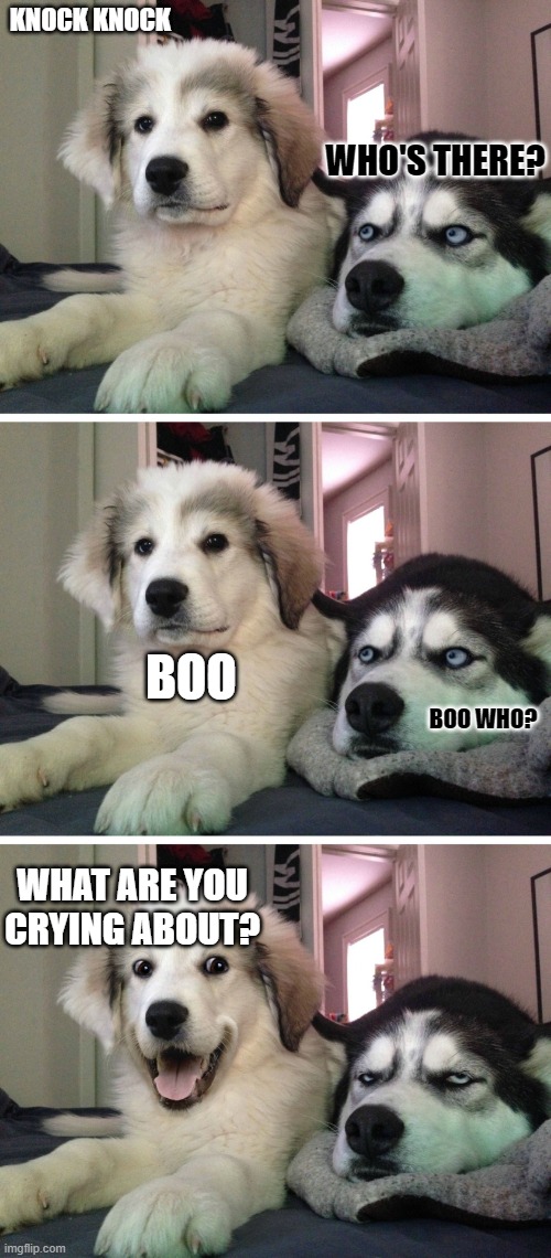 Bad pun dogs | KNOCK KNOCK; WHO'S THERE? BOO; BOO WHO? WHAT ARE YOU CRYING ABOUT? | image tagged in bad pun dogs,knock knock dogs,dog memes,knock knock,funny dog memes,bad pun | made w/ Imgflip meme maker