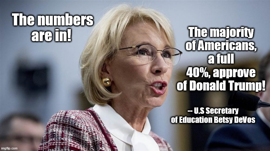 -- U.S Secretary of Education Betsy DeVos | image tagged in secretary of education betsy devos,mental illness | made w/ Imgflip meme maker