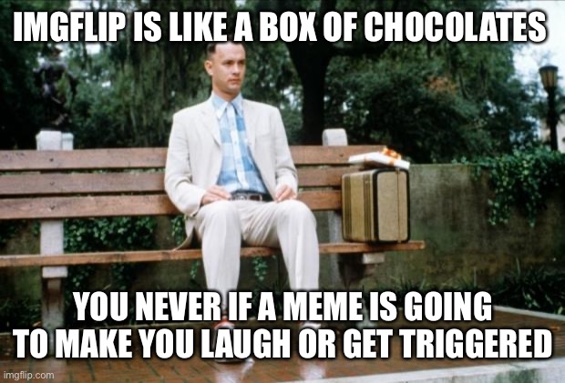 IMGFLIP Like a box of chocolates… |  IMGFLIP IS LIKE A BOX OF CHOCOLATES; YOU NEVER IF A MEME IS GOING TO MAKE YOU LAUGH OR GET TRIGGERED | image tagged in forrest gump,like a box of chocolates,imgflip,make laugh,get triggered | made w/ Imgflip meme maker