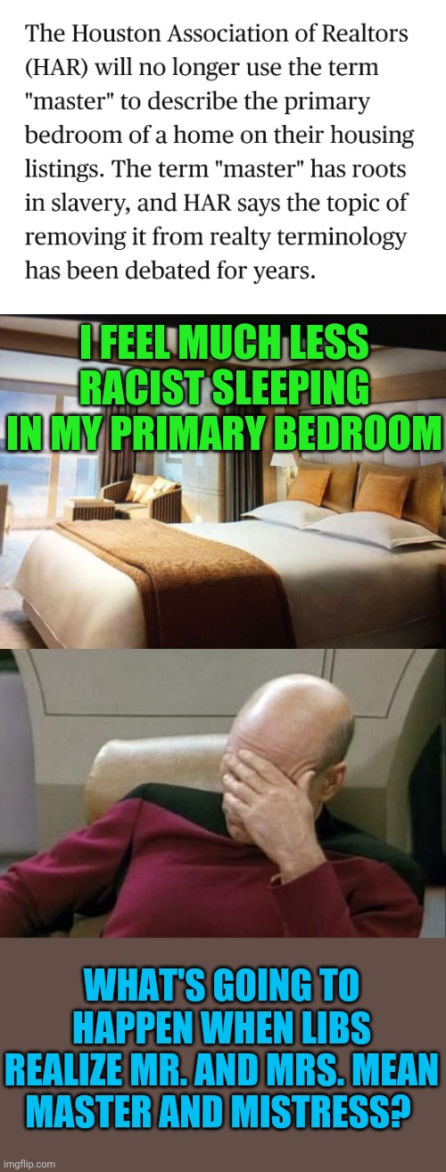 Oh come on. Will we have to change titles now? | I FEEL MUCH LESS RACIST SLEEPING IN MY PRIMARY BEDROOM; WHAT'S GOING TO HAPPEN WHEN LIBS REALIZE MR. AND MRS. MEAN MASTER AND MISTRESS? | image tagged in memes,captain picard facepalm,cruise ship bedroom | made w/ Imgflip meme maker