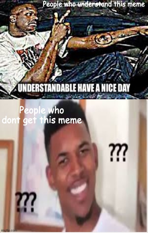 What you say |  People who understand this meme; People who dont get this meme | image tagged in memes,confused,understandable | made w/ Imgflip meme maker