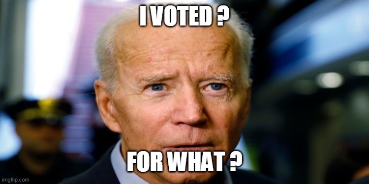 I VOTED ? FOR WHAT ? | made w/ Imgflip meme maker