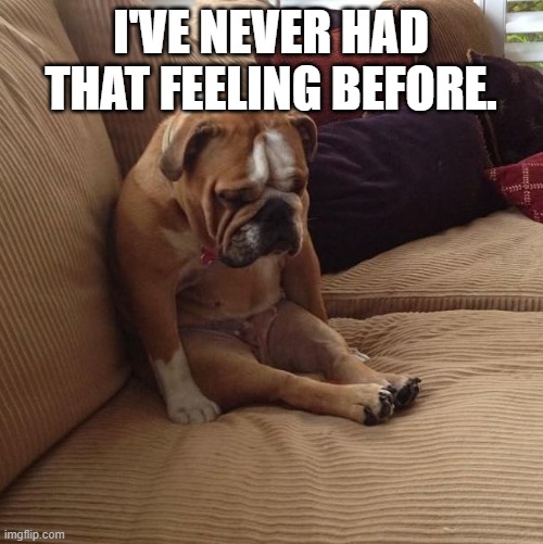 bulldogsad | I'VE NEVER HAD THAT FEELING BEFORE. | image tagged in bulldogsad | made w/ Imgflip meme maker