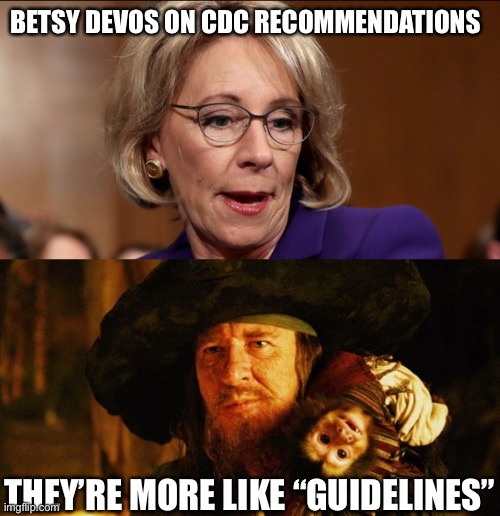 DeVos “guidelines” | BETSY DEVOS ON CDC RECOMMENDATIONS; THEY’RE MORE LIKE “GUIDELINES” | image tagged in secretary of education betsy devos,betsy devos,pirates of the caribbean,pirates,cdc | made w/ Imgflip meme maker