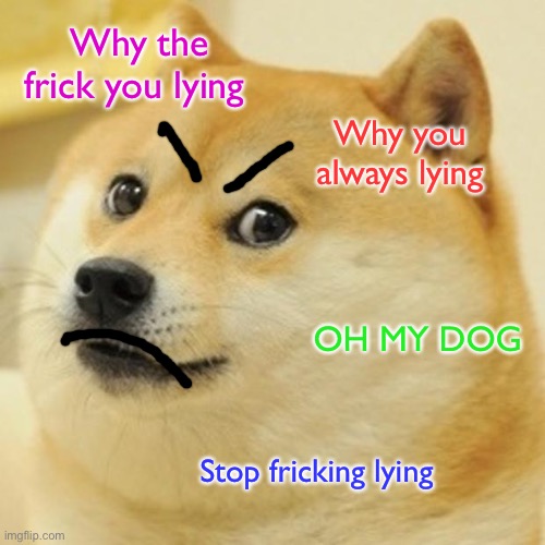 Stop lying! >:((( | Why the frick you lying; Why you always lying; OH MY DOG; Stop fricking lying | image tagged in memes,doge | made w/ Imgflip meme maker