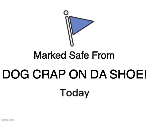 The relatable problem has been solved | DOG CRAP ON DA SHOE! | image tagged in memes,marked safe from | made w/ Imgflip meme maker