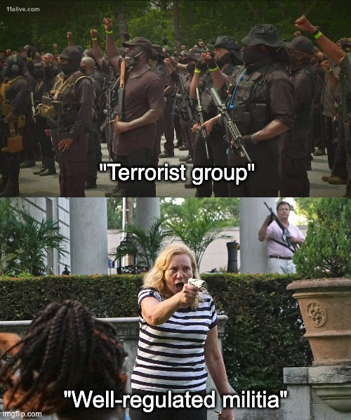 Conservatives have no trigger discipline. | "Terrorist group"; "Well-regulated militia" | image tagged in 2nd amendment,black lives matter,gun control,protest | made w/ Imgflip meme maker