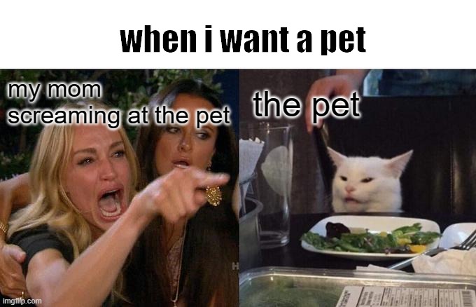 Woman Yelling At Cat Meme | when i want a pet; my mom screaming at the pet; the pet | image tagged in memes,woman yelling at cat | made w/ Imgflip meme maker