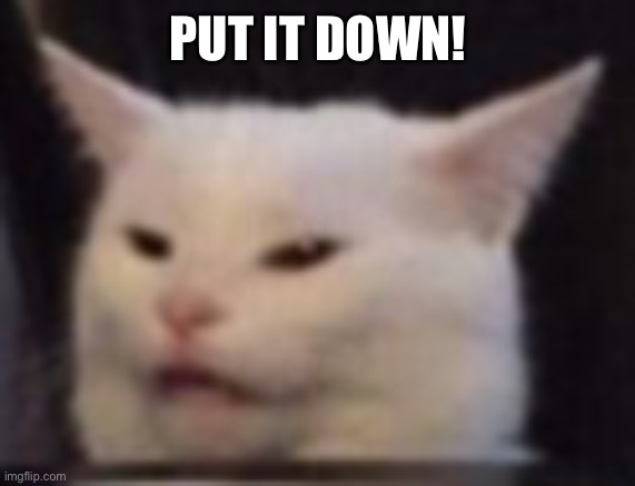 Ow | PUT IT DOWN! | image tagged in cat | made w/ Imgflip meme maker