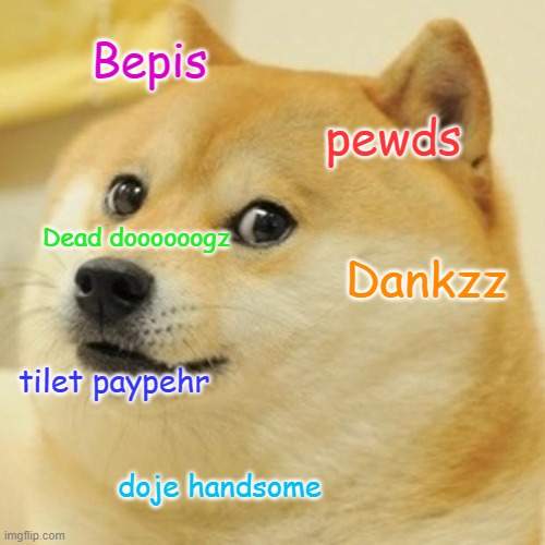 Doge | Bepis; pewds; Dead doooooogz; Dankzz; tilet paypehr; doje handsome | image tagged in memes,doge | made w/ Imgflip meme maker