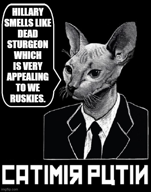 Catimir Putin Speaks Out about the 2016 Election | HILLARY SMELLS LIKE DEAD STURGEON WHICH IS VERY APPEALING TO WE
RUSKIES. | image tagged in vince vance,black and white,vladimir putin,cats,russians,funny cat memes | made w/ Imgflip meme maker