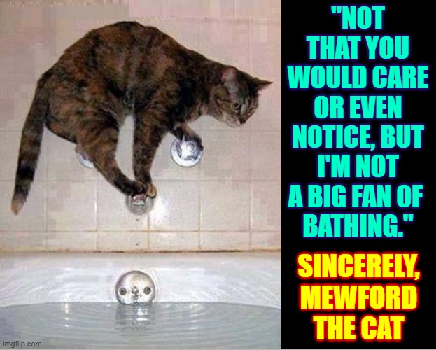 Water is for Drinking. Why do you think I have a tongue, human? | "NOT THAT YOU WOULD CARE OR EVEN NOTICE, BUT I'M NOT A BIG FAN OF 
BATHING."; SINCERELY,
MEWFORD THE CAT | image tagged in vince vance,cats,bathing,funny cat memes,i love cats,frightened | made w/ Imgflip meme maker