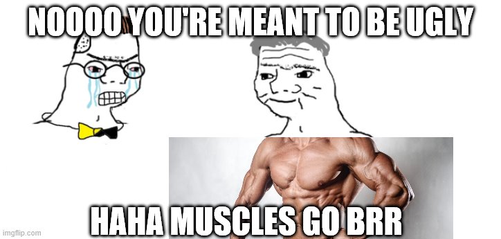 When too big mucles | NOOOO YOU'RE MEANT TO BE UGLY; HAHA MUSCLES GO BRR | image tagged in funny,nooo haha go brrr | made w/ Imgflip meme maker